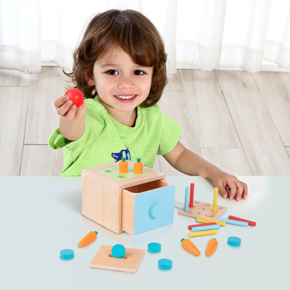Caja Educativa Montessori 4 en 1 │ Juguete de Madera +12 Meses